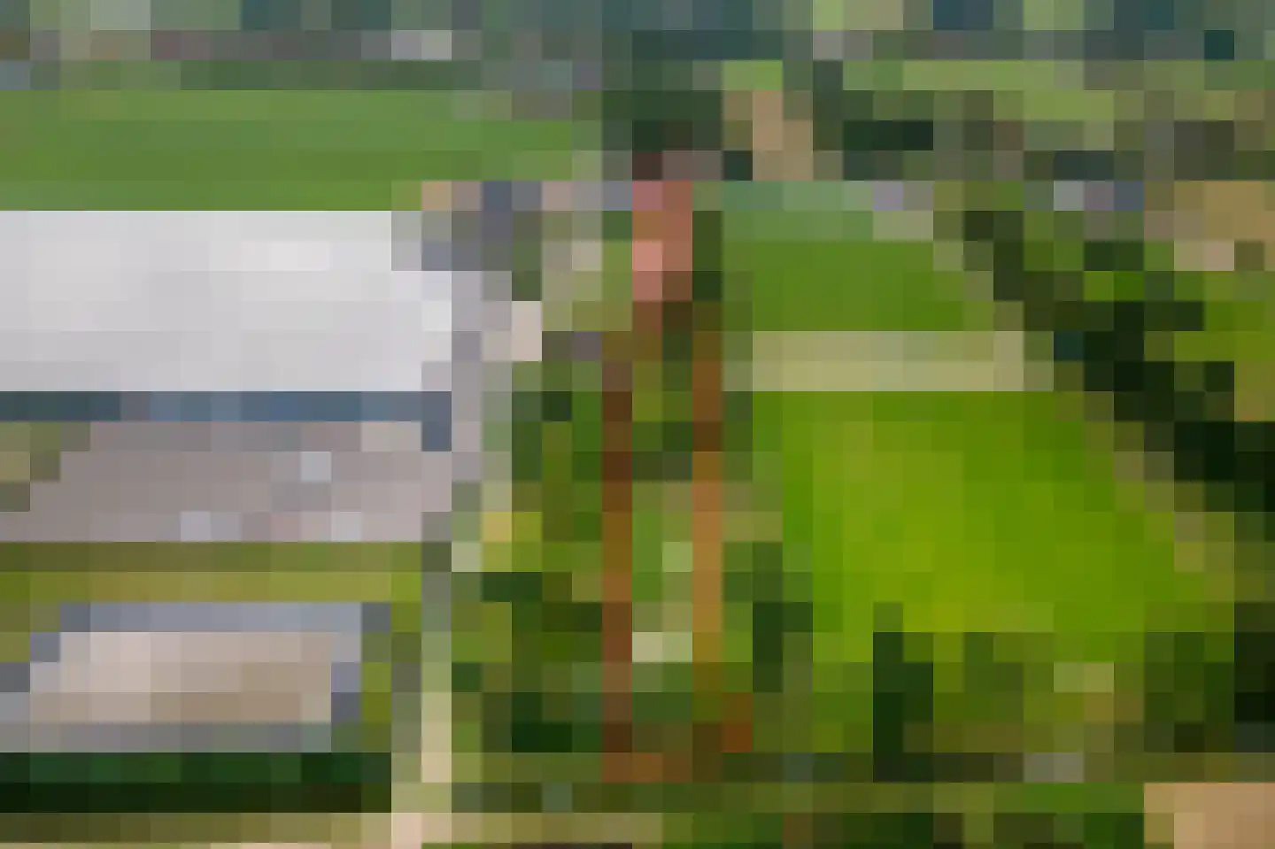 Gerestraat 4 Heesselt thumbnail 61