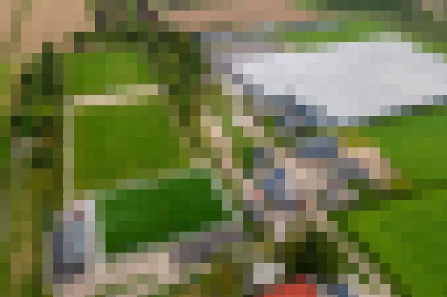 Gerestraat 4 Heesselt thumbnail 62