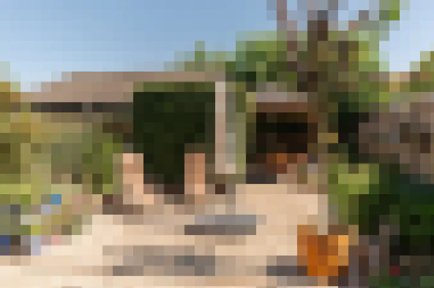 Gerestraat 76 Heesselt thumbnail 26