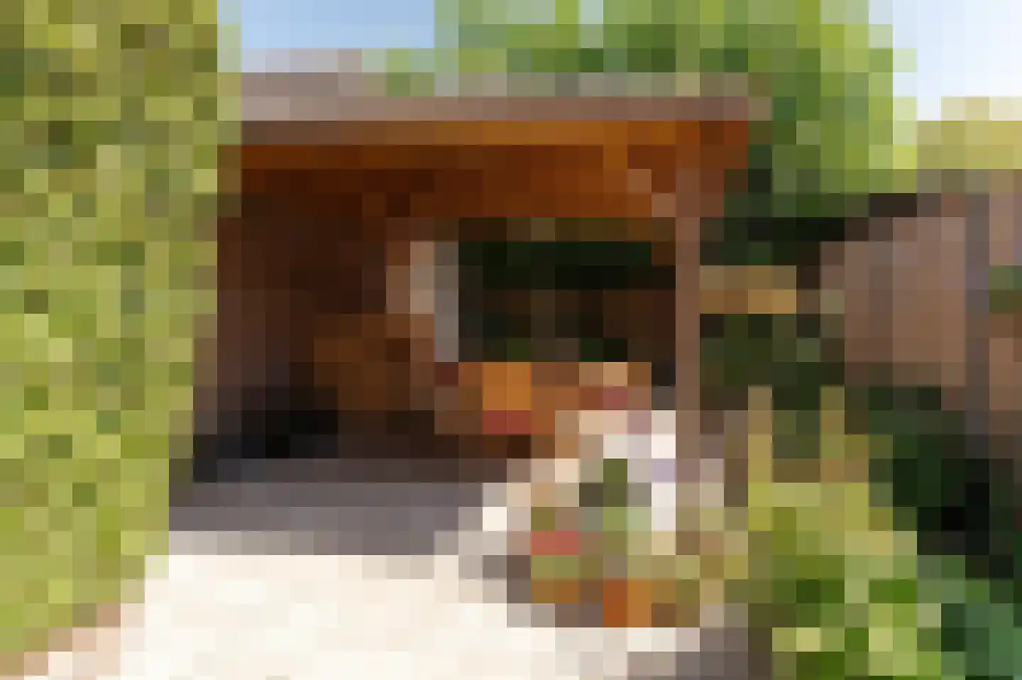 Gerestraat 76 Heesselt thumbnail 27