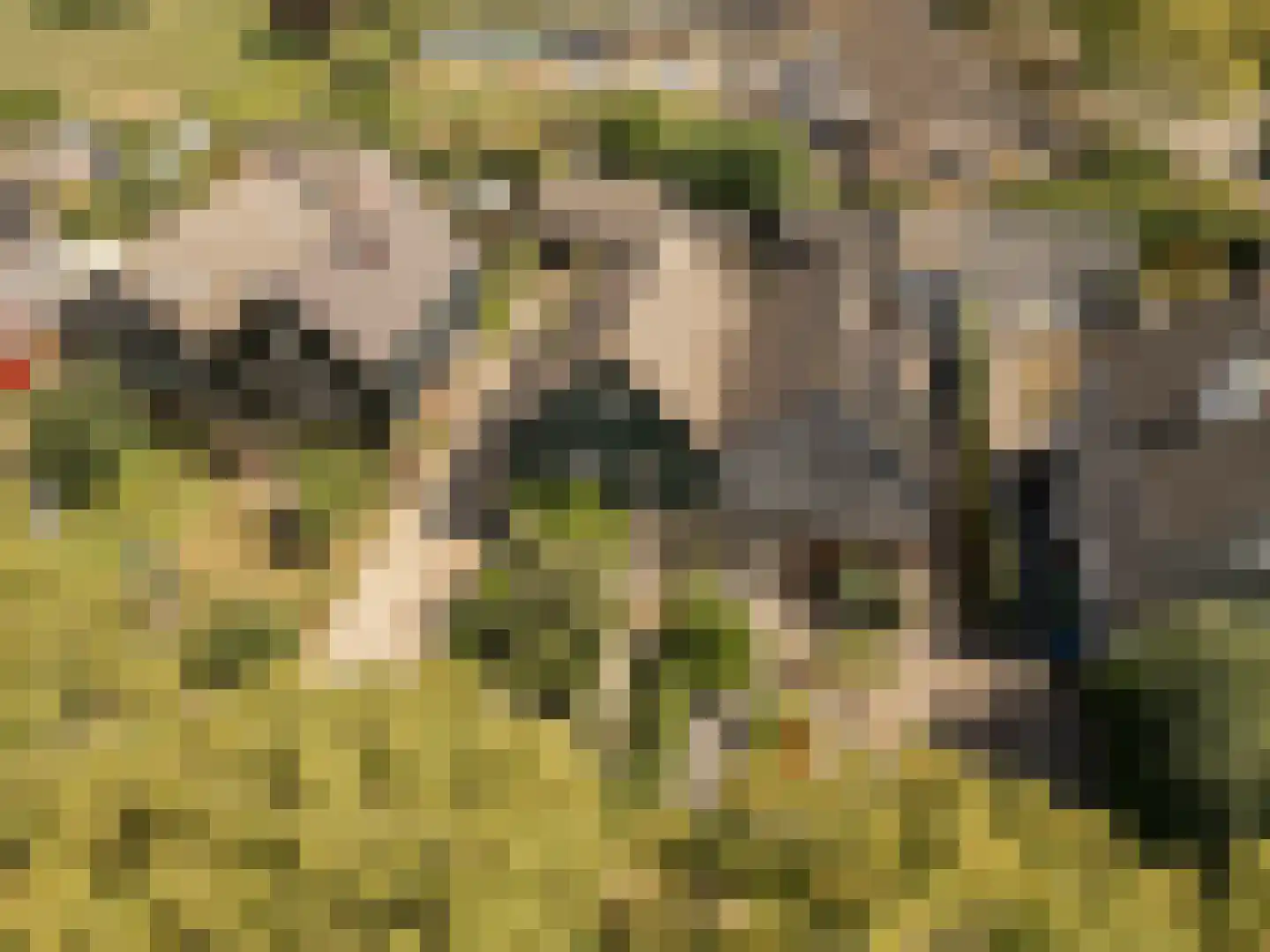 Gerestraat 76 Heesselt thumbnail 35