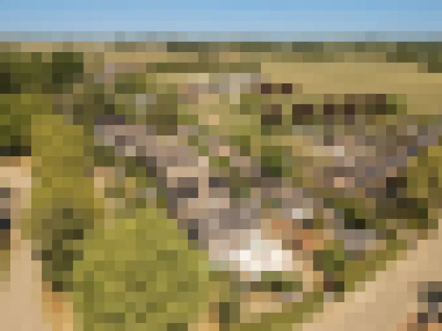 Gerestraat 76 Heesselt thumbnail 37