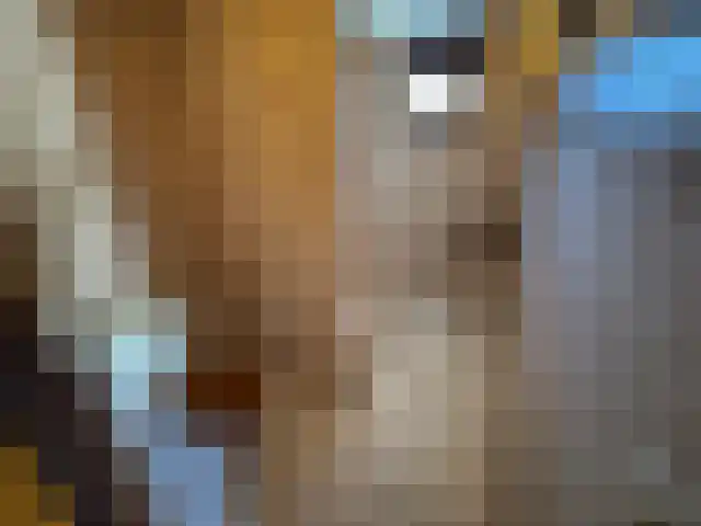 Gerhard Nijlandstraat 16 Daarlerveen thumbnail 8