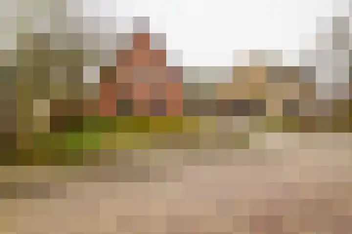 Gerhard Nijlandstraat 6 Daarlerveen thumbnail 10