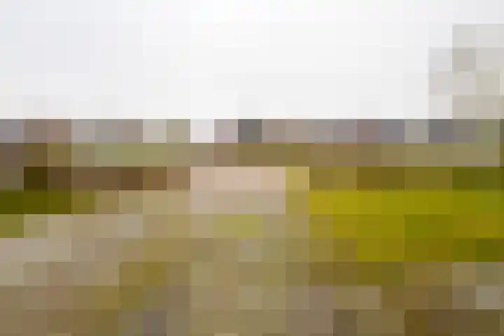 Gerhard Nijlandstraat 6 Daarlerveen thumbnail 11