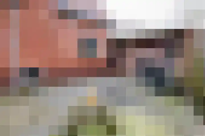 Gerhard Nijlandstraat 6 Daarlerveen thumbnail 13