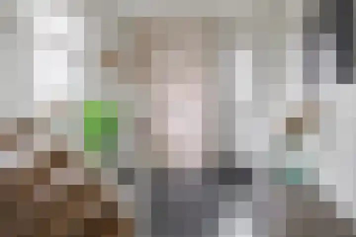 Gerhard Nijlandstraat 6 Daarlerveen thumbnail 16