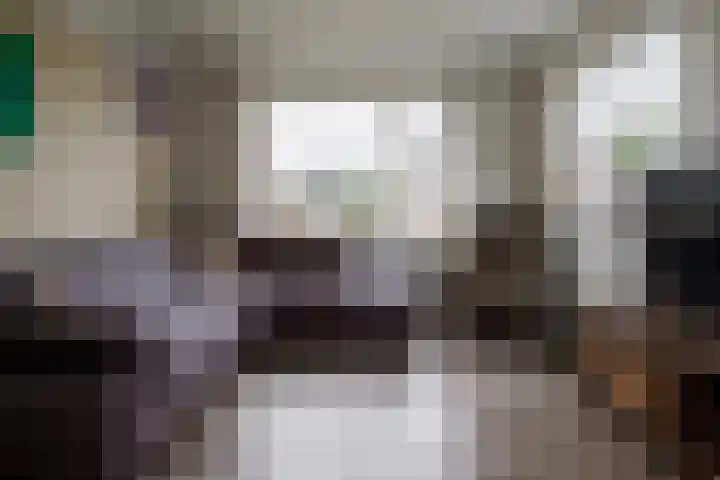 Gerhard Nijlandstraat 6 Daarlerveen thumbnail 17