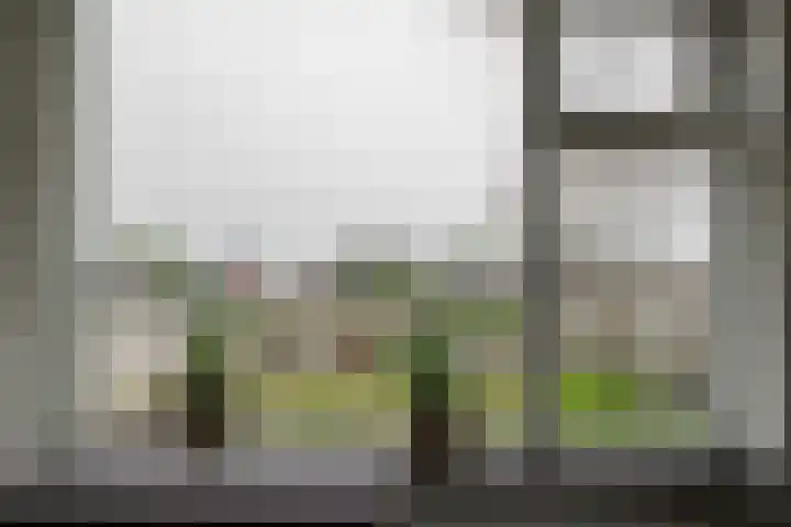 Gerhard Nijlandstraat 6 Daarlerveen thumbnail 19