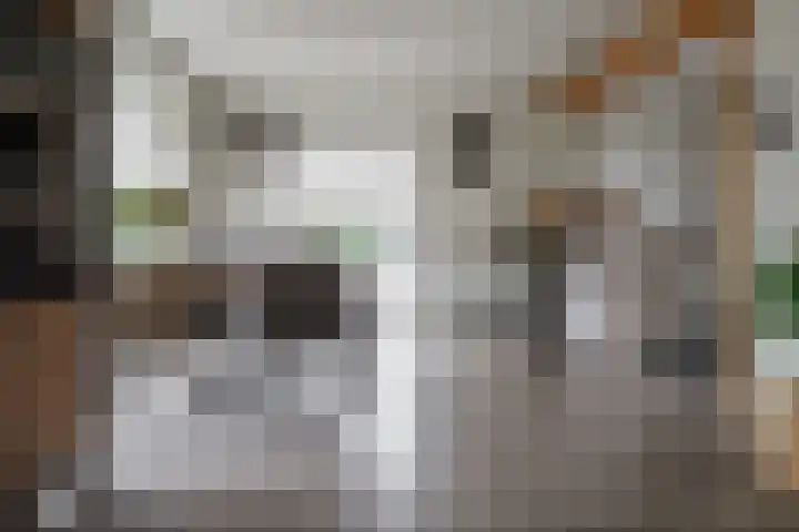 Gerhard Nijlandstraat 6 Daarlerveen thumbnail 24
