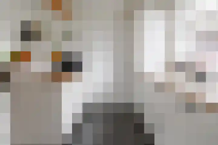 Gerhard Nijlandstraat 6 Daarlerveen thumbnail 30