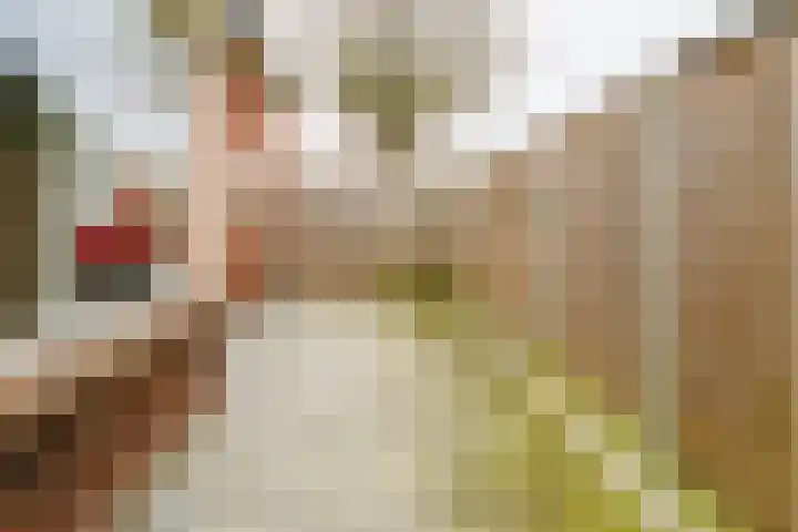 Gerhard Nijlandstraat 6 Daarlerveen thumbnail 47