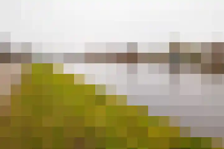 Gerhard Nijlandstraat 6 Daarlerveen thumbnail 7