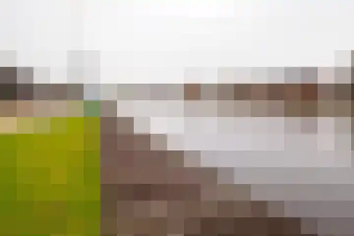 Gerhard Nijlandstraat 6 Daarlerveen thumbnail 8