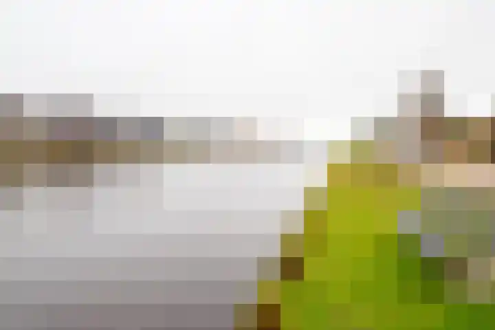 Gerhard Nijlandstraat 6 Daarlerveen thumbnail 9