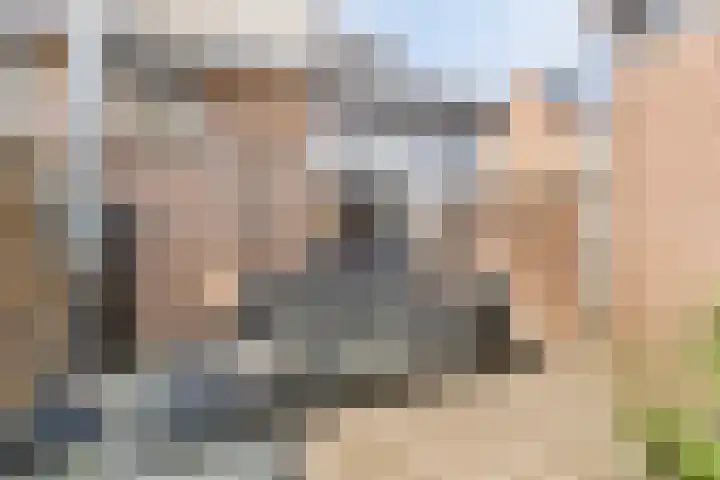 Gerhard ter Borchplein 21 Deventer thumbnail 16