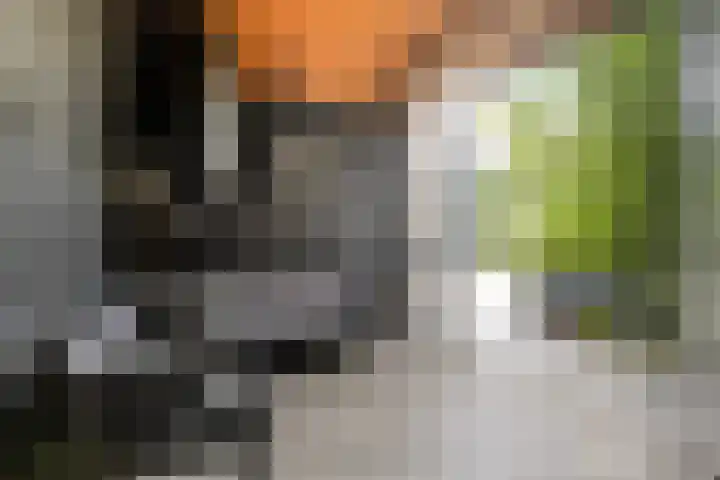 Gerhard Voethstraat 15 Arnhem thumbnail 8