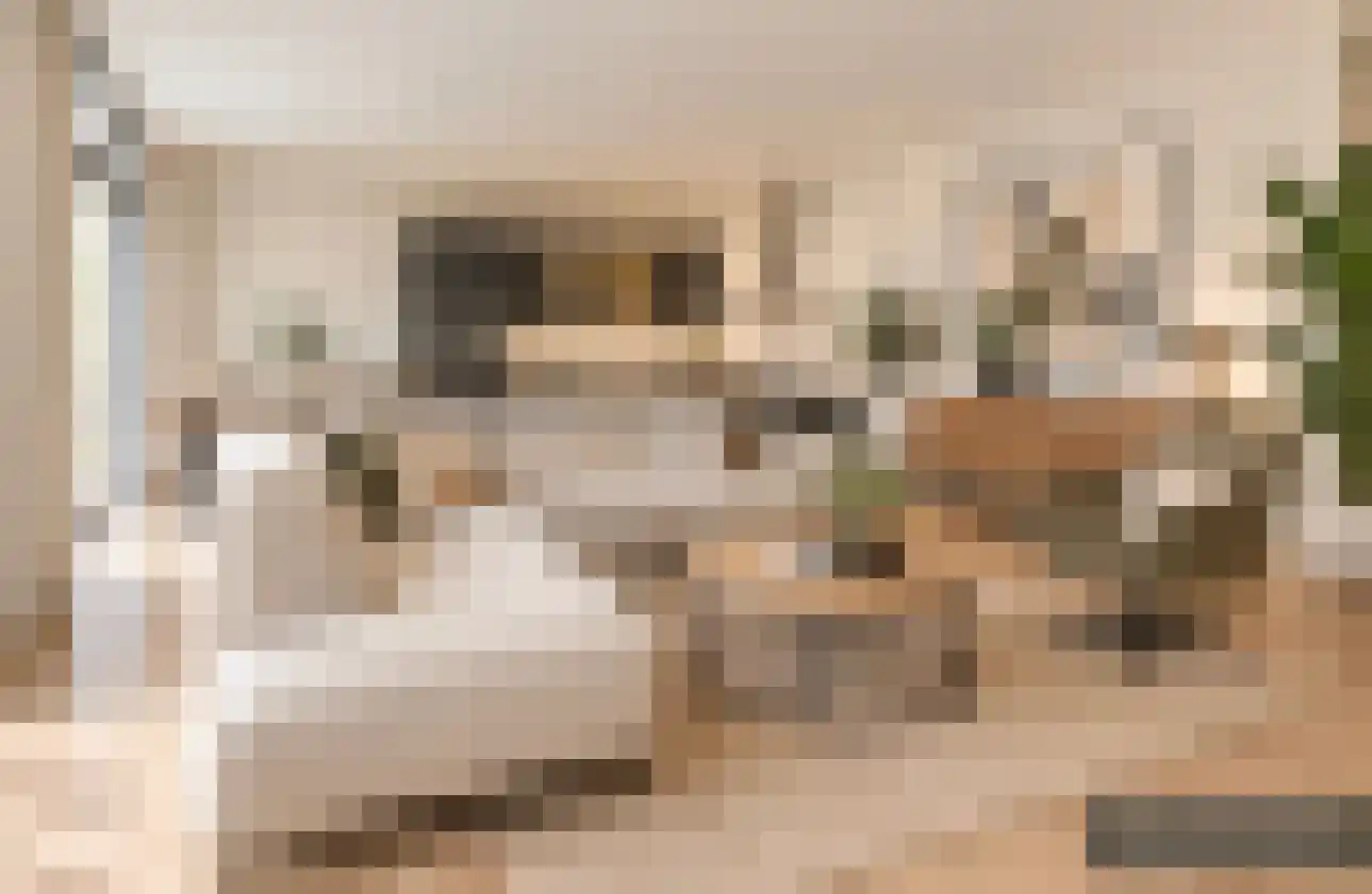 Gerhardstraat 11 Utrecht thumbnail 12