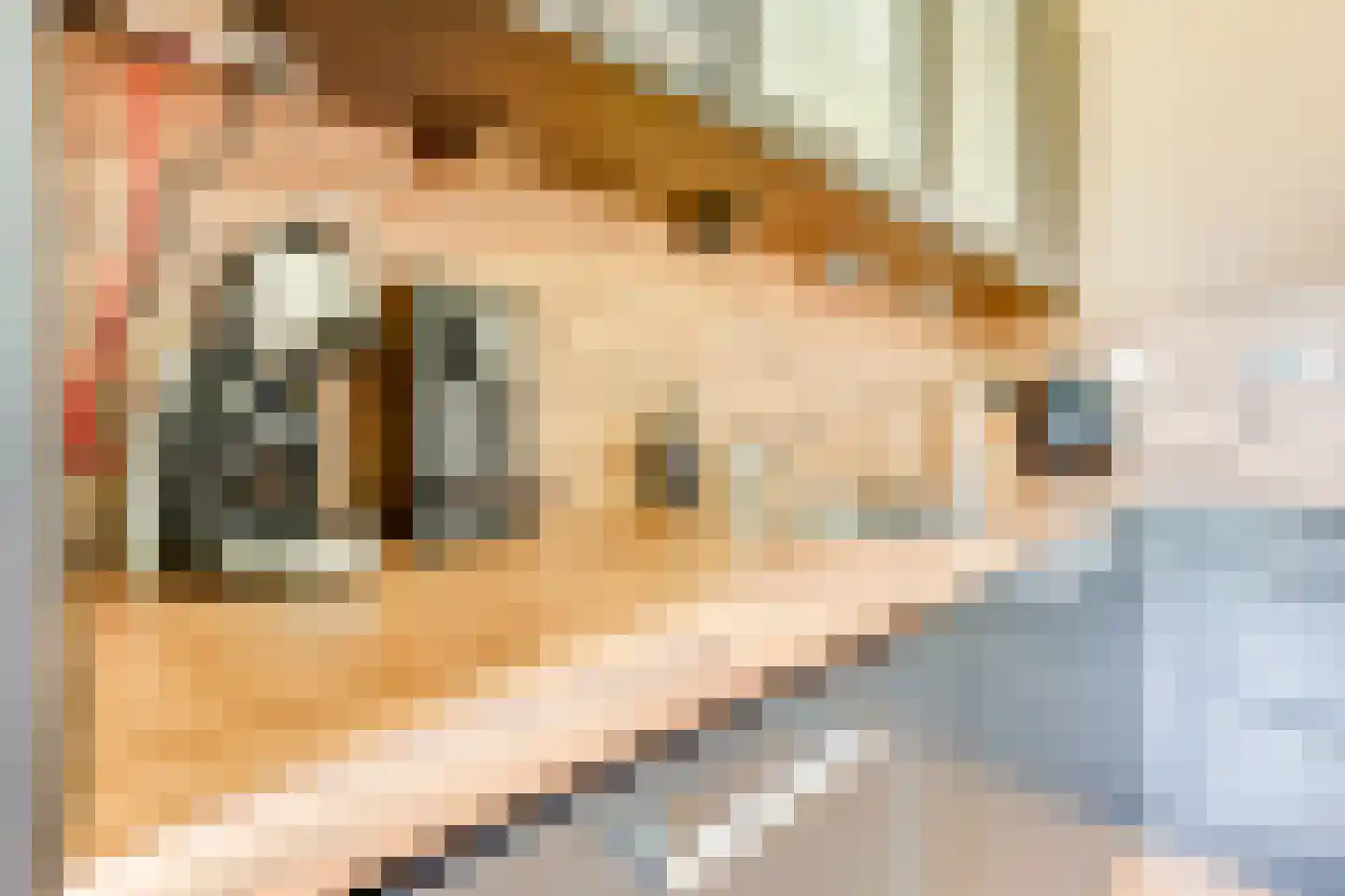 Gerhardstraat 11 Utrecht thumbnail 20