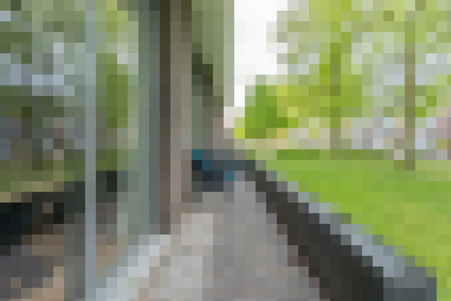 Gerhardstraat 11 Utrecht thumbnail 26