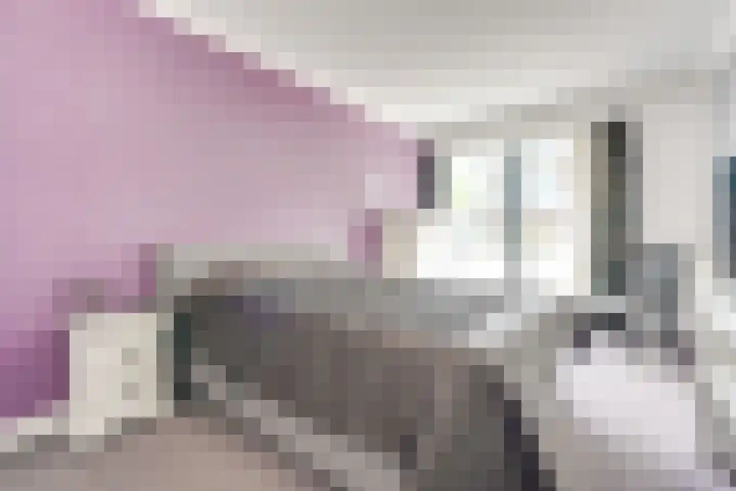 Gerhardstraat 11 Utrecht thumbnail 32