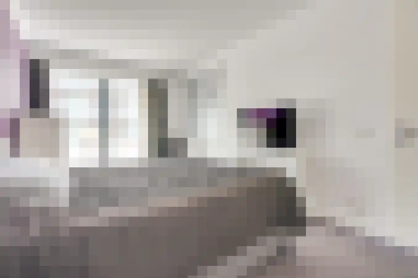 Gerhardstraat 11 Utrecht thumbnail 34