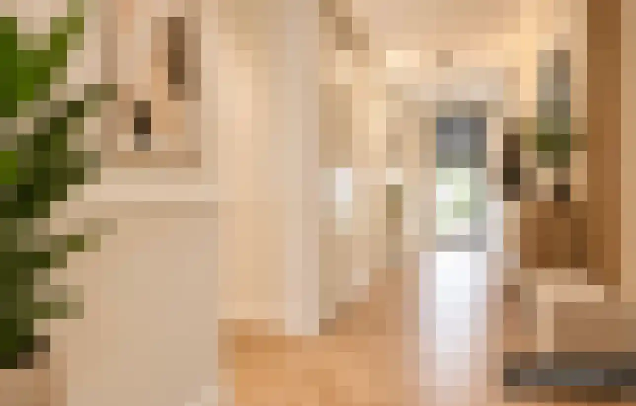 Gerhardstraat 11 Utrecht thumbnail 9