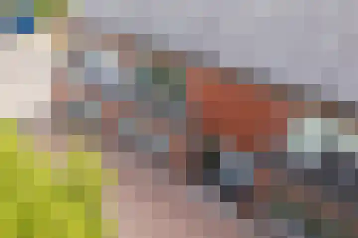 Gerhardstraat 2 Utrecht thumbnail 5