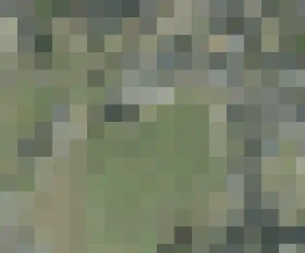 Gerichtenweg 3 Doornspijk thumbnail 7