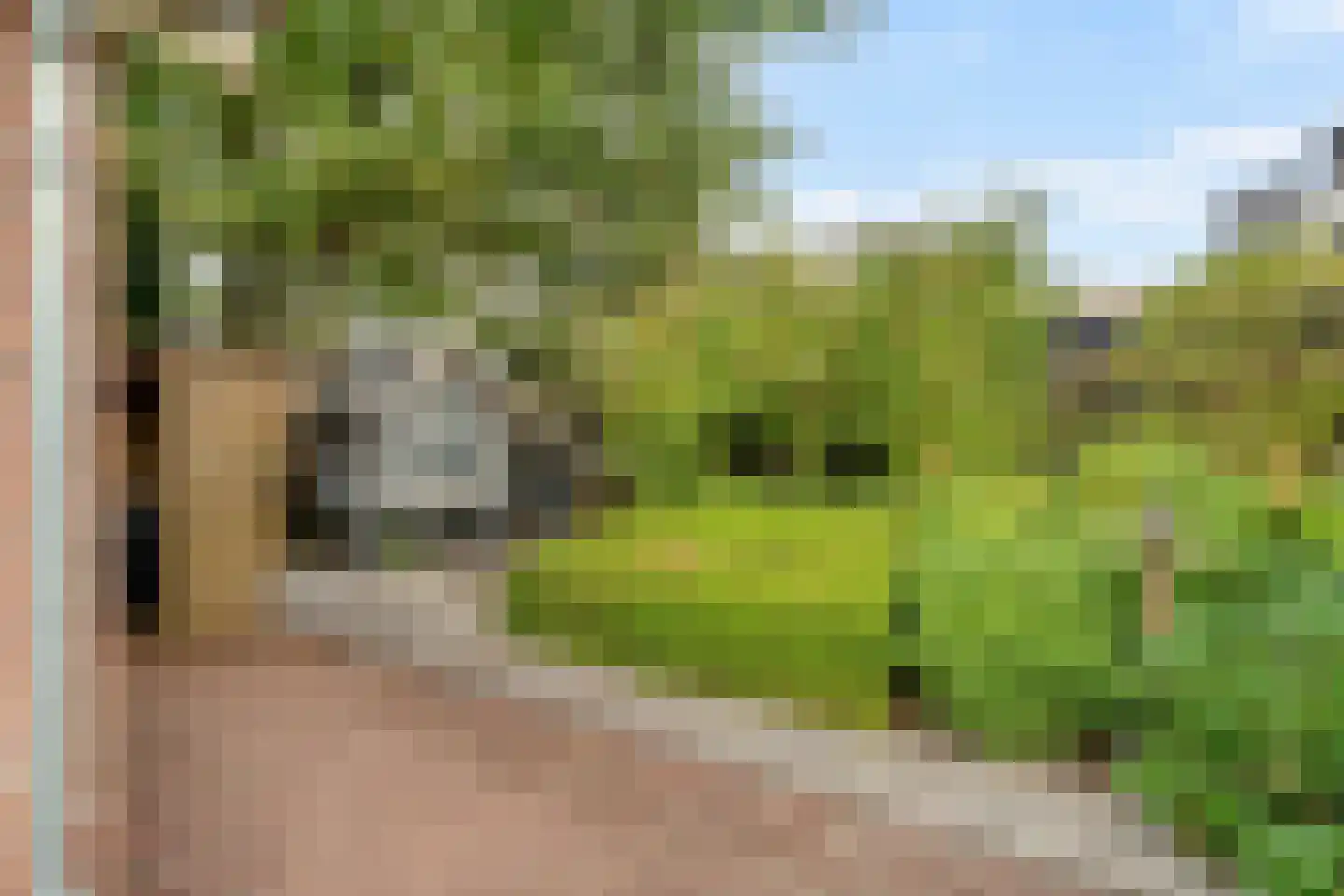 Gerichtenweg 33 Doornspijk thumbnail 10
