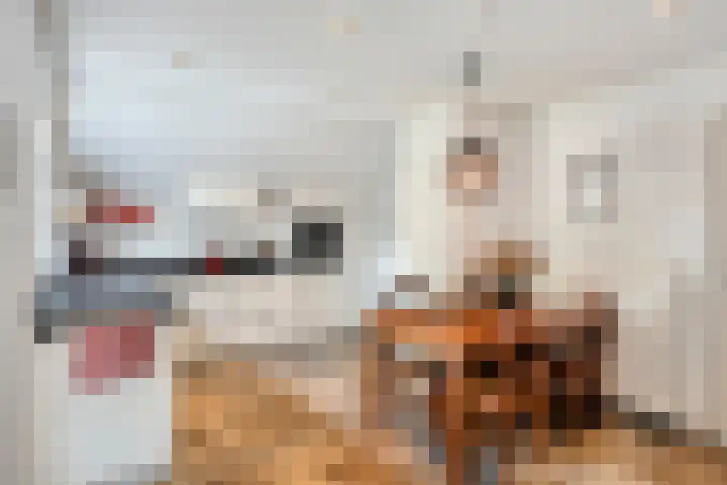 Gerichtenweg 33 Doornspijk thumbnail 28