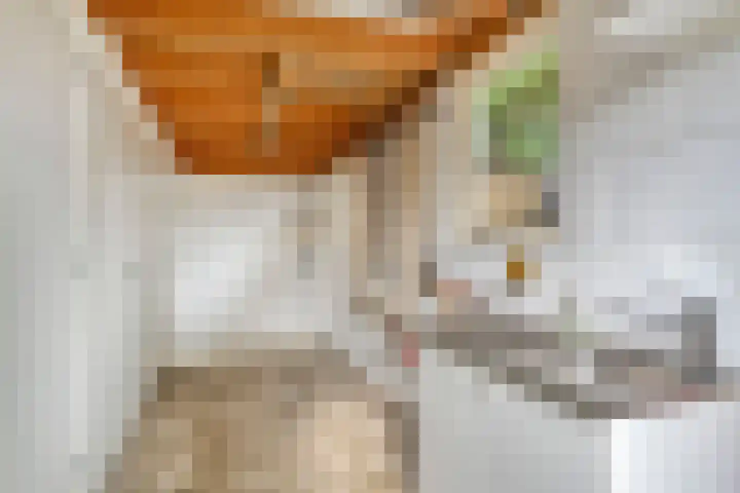 Gerichtenweg 33 Doornspijk thumbnail 32
