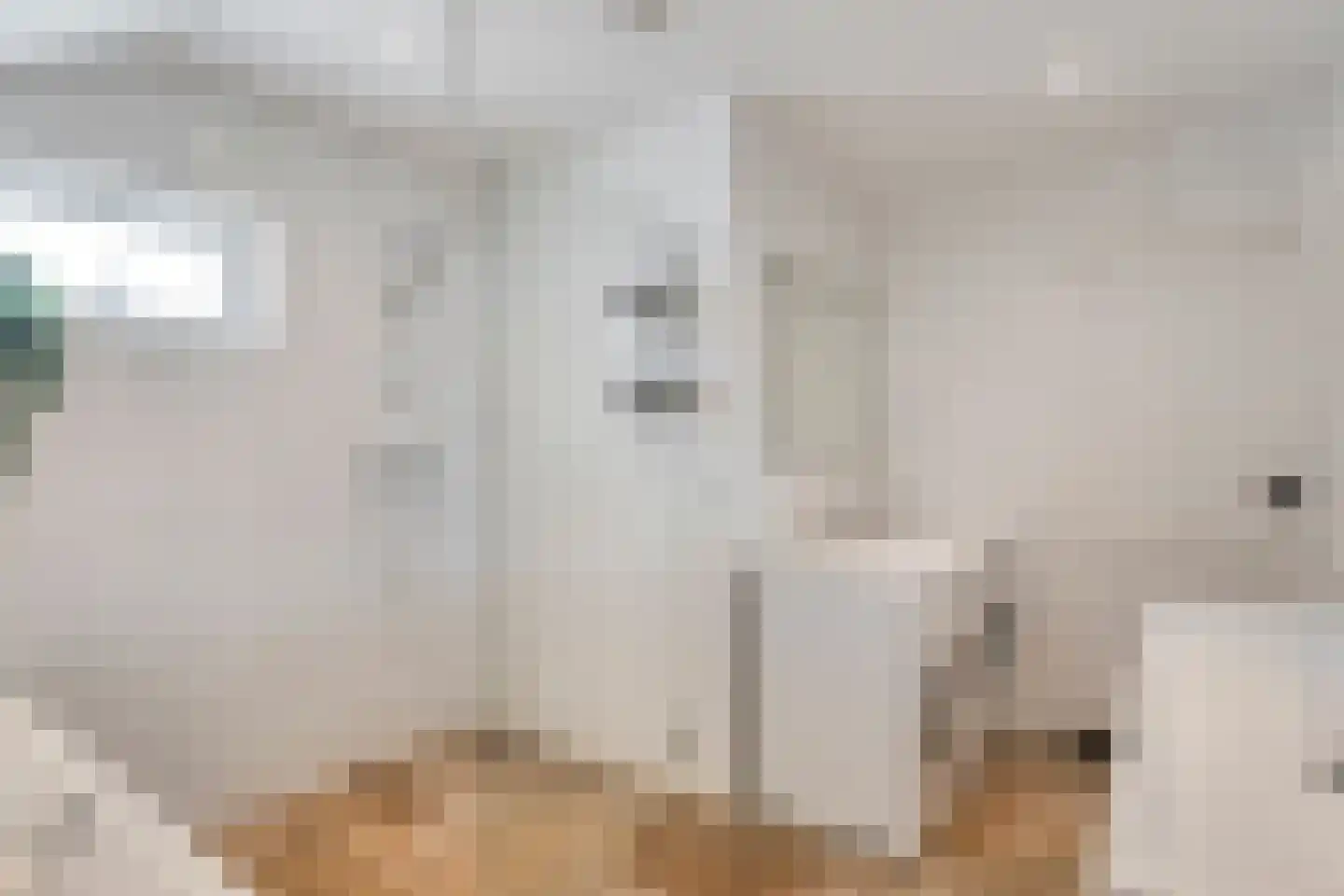 Gerichtenweg 33 Doornspijk thumbnail 34