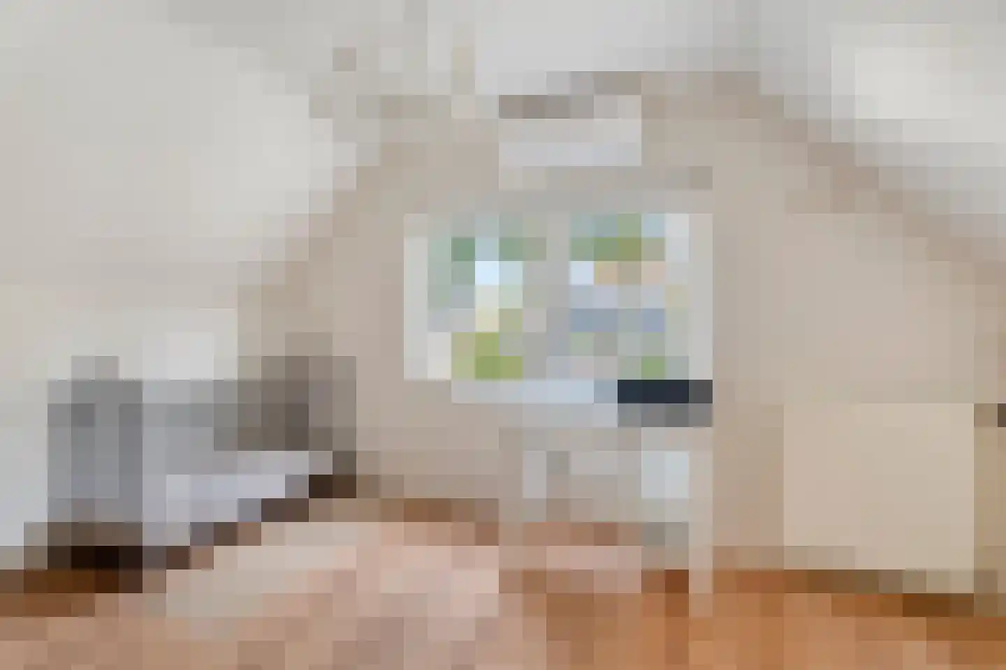 Gerichtenweg 33 Doornspijk thumbnail 41