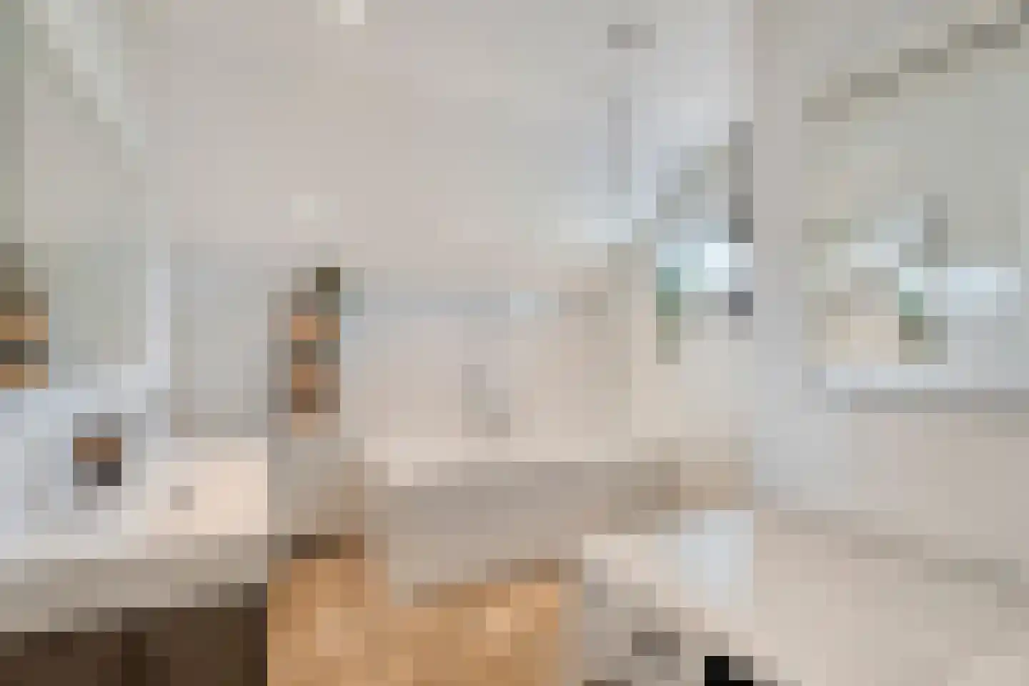Gerichtenweg 33 Doornspijk thumbnail 43