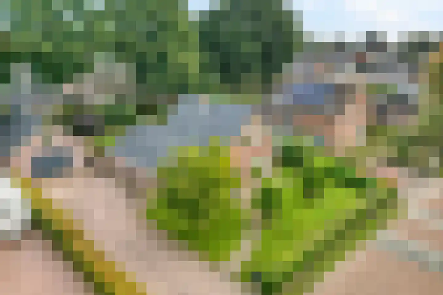 Gerichtenweg 33 Doornspijk thumbnail 58