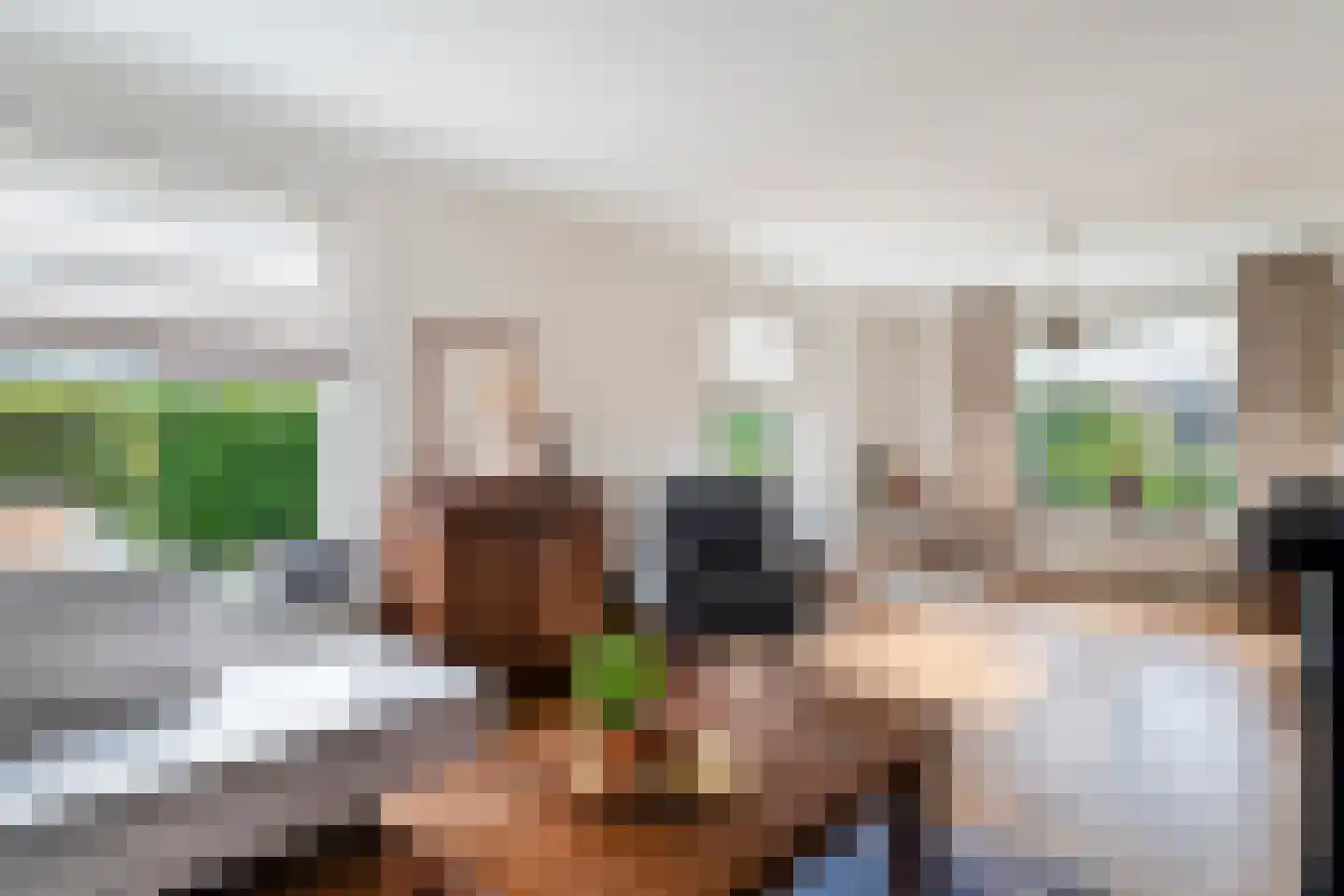 Gerichtenweg 33 Doornspijk thumbnail 6