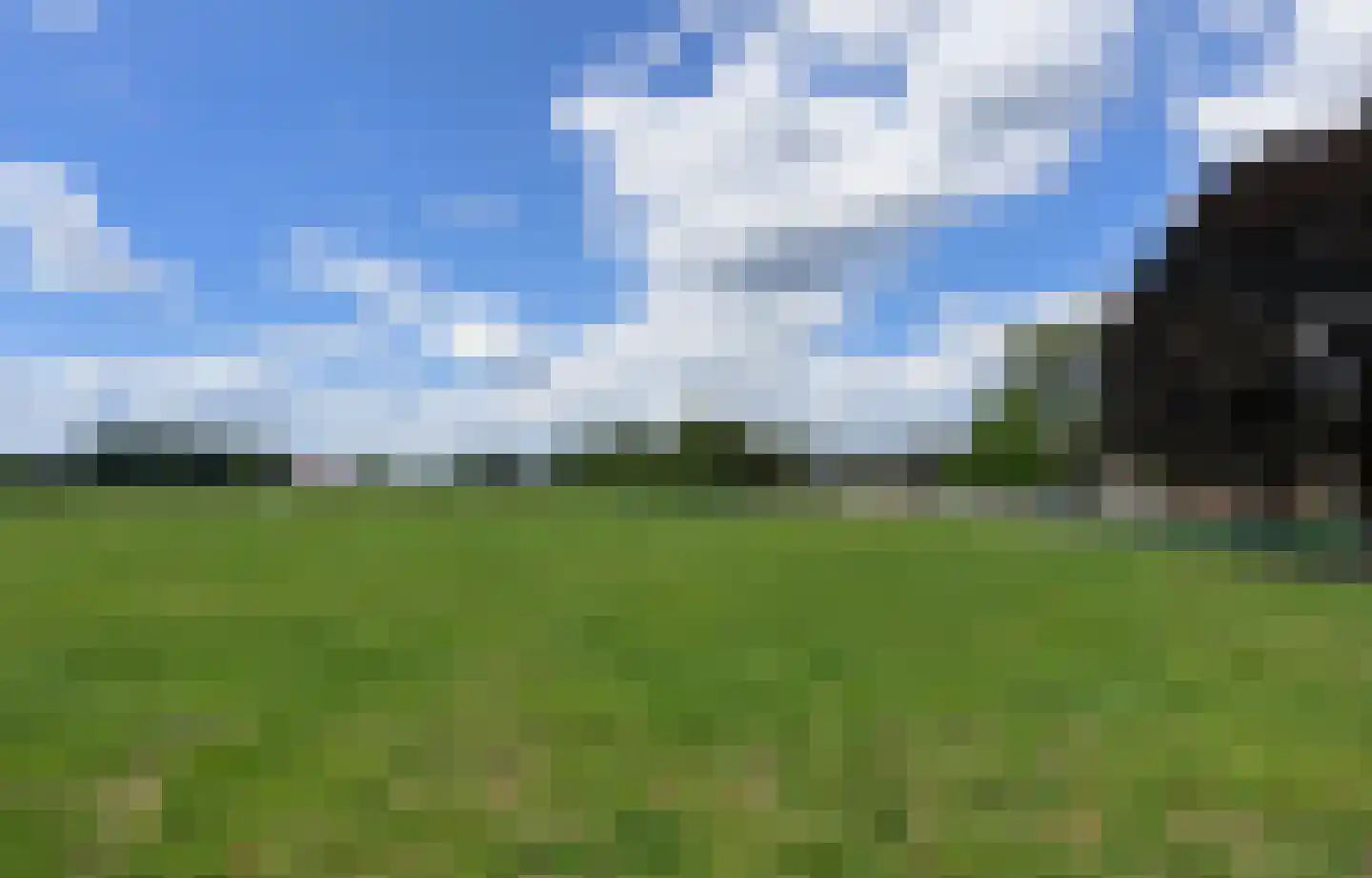 Gerichtenweg 4 B Doornspijk foto 3