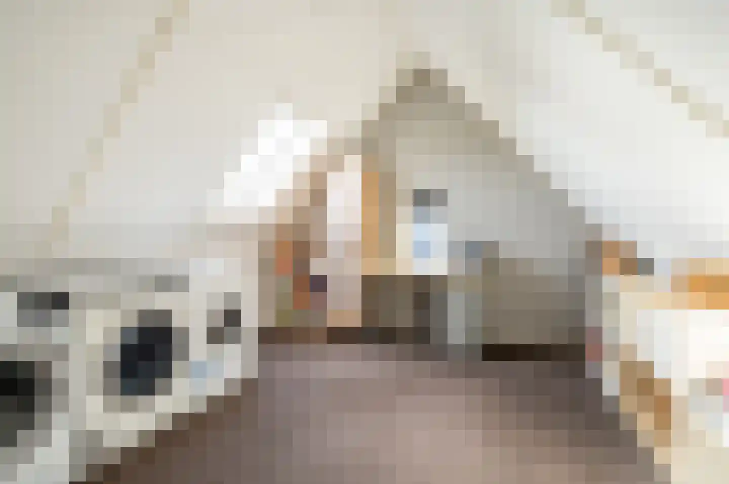 Gerichtenweg 63 Doornspijk thumbnail 22