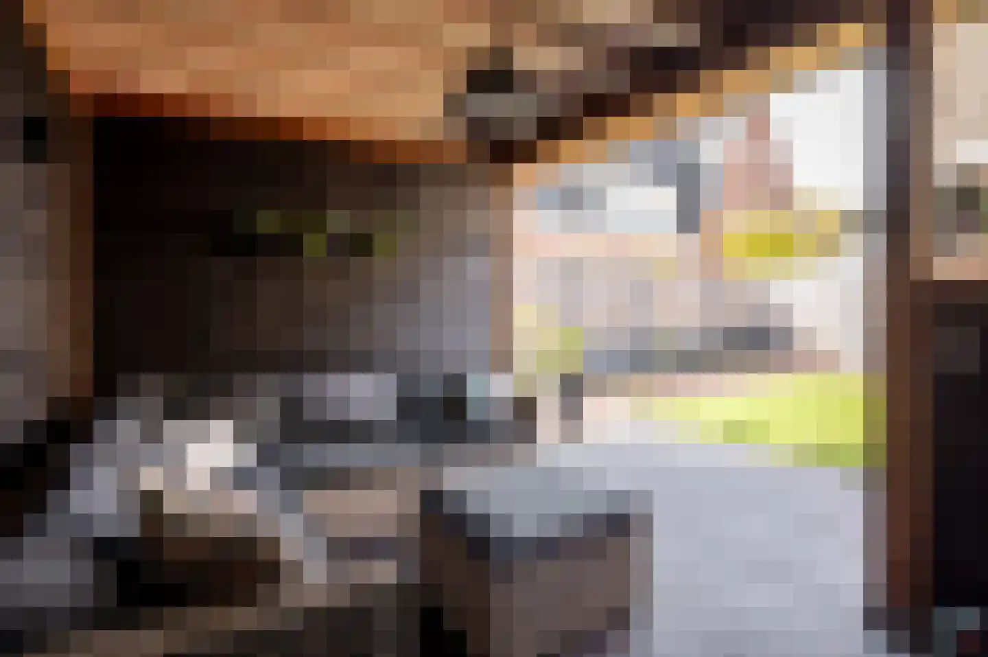 Gerichtenweg 63 Doornspijk thumbnail 32
