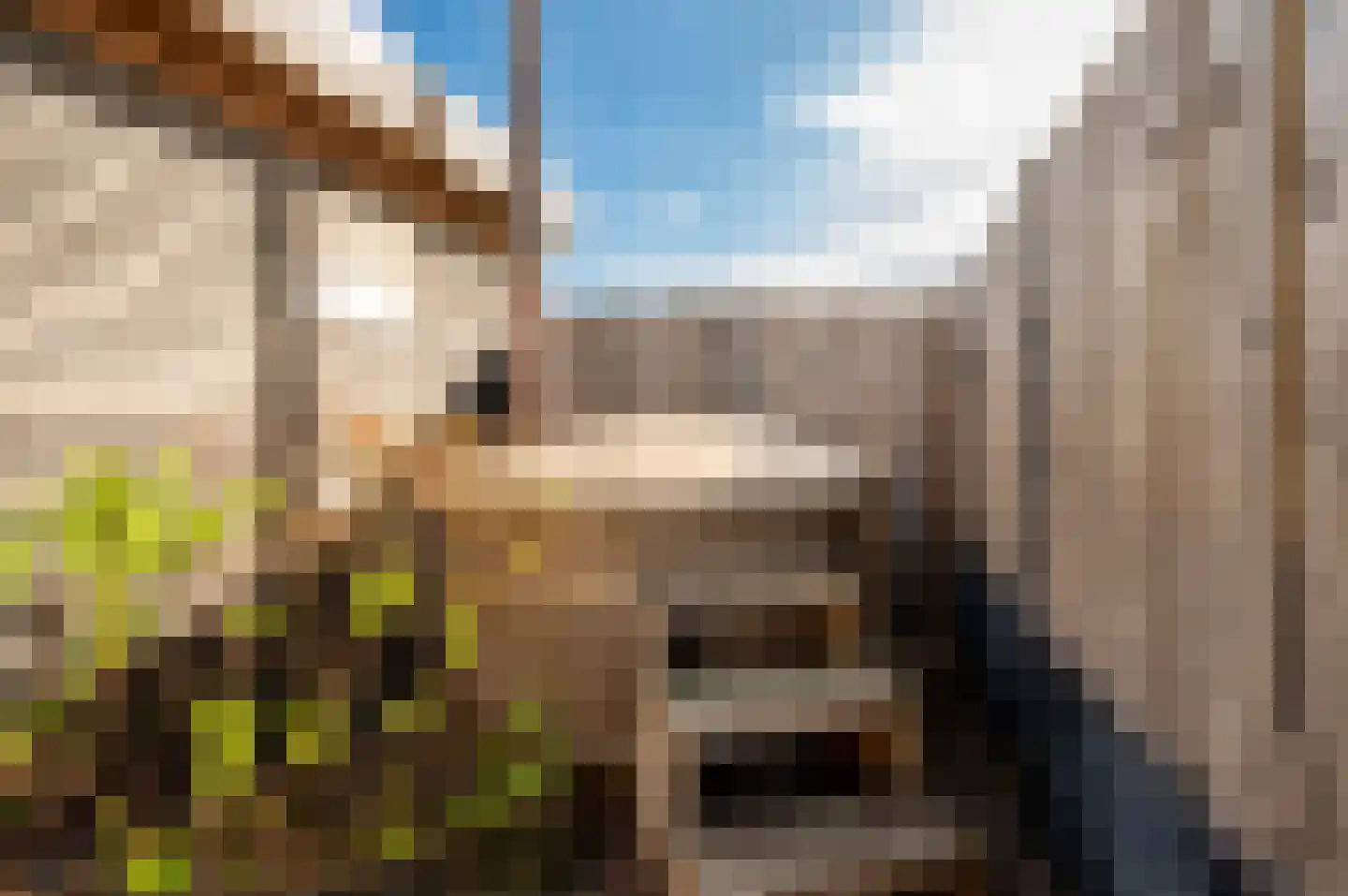 Gerichtenweg 63 Doornspijk thumbnail 33