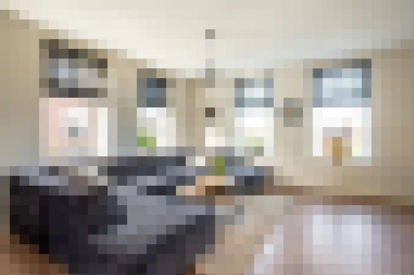 Gerichtenweg 63 Doornspijk thumbnail 4