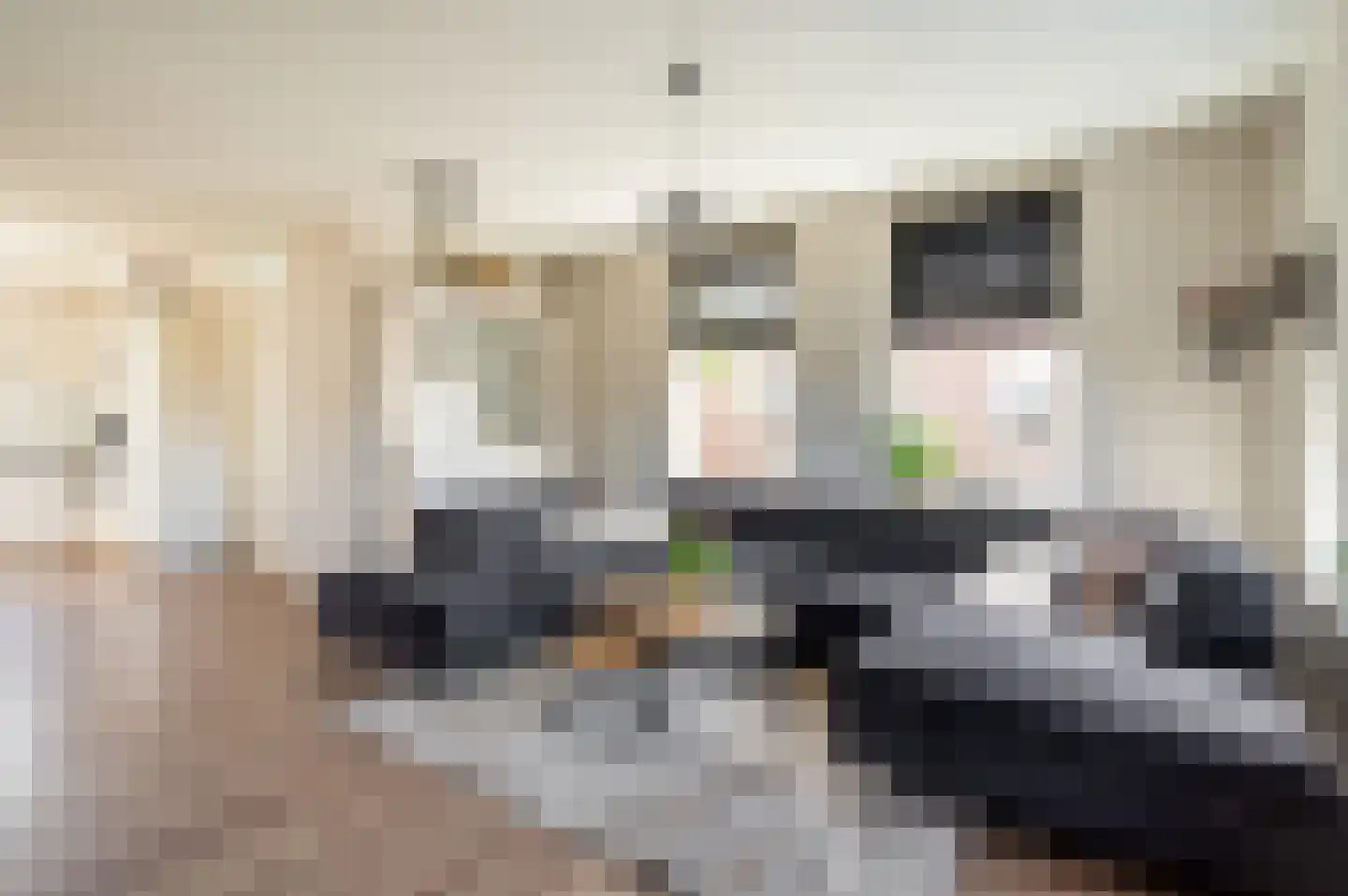 Gerichtenweg 63 Doornspijk thumbnail 5