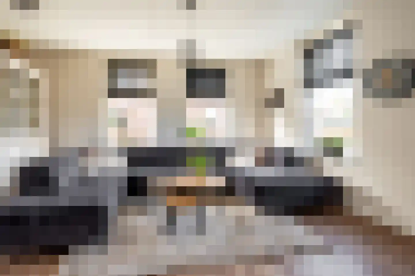 Gerichtenweg 63 Doornspijk thumbnail 6