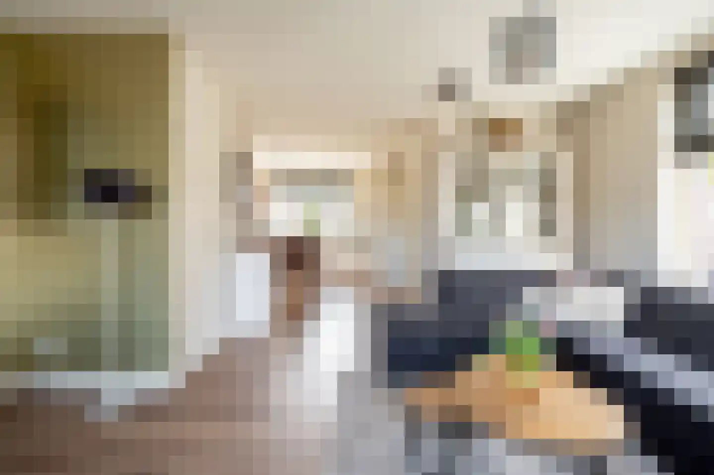 Gerichtenweg 63 Doornspijk thumbnail 8