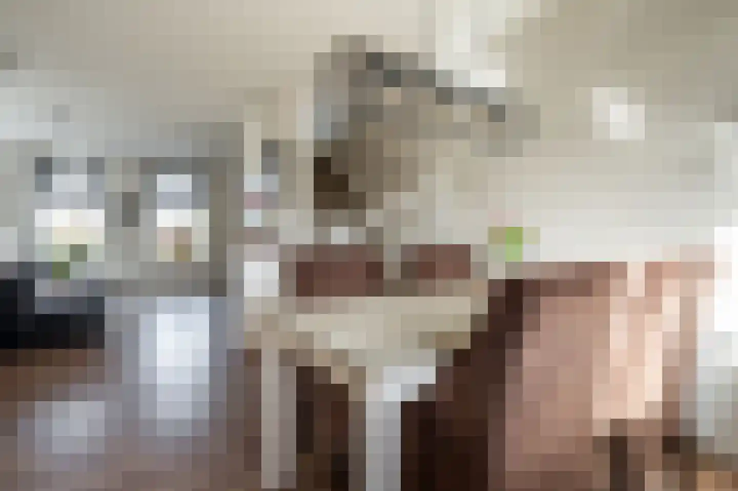 Gerichtenweg 63 Doornspijk thumbnail 9
