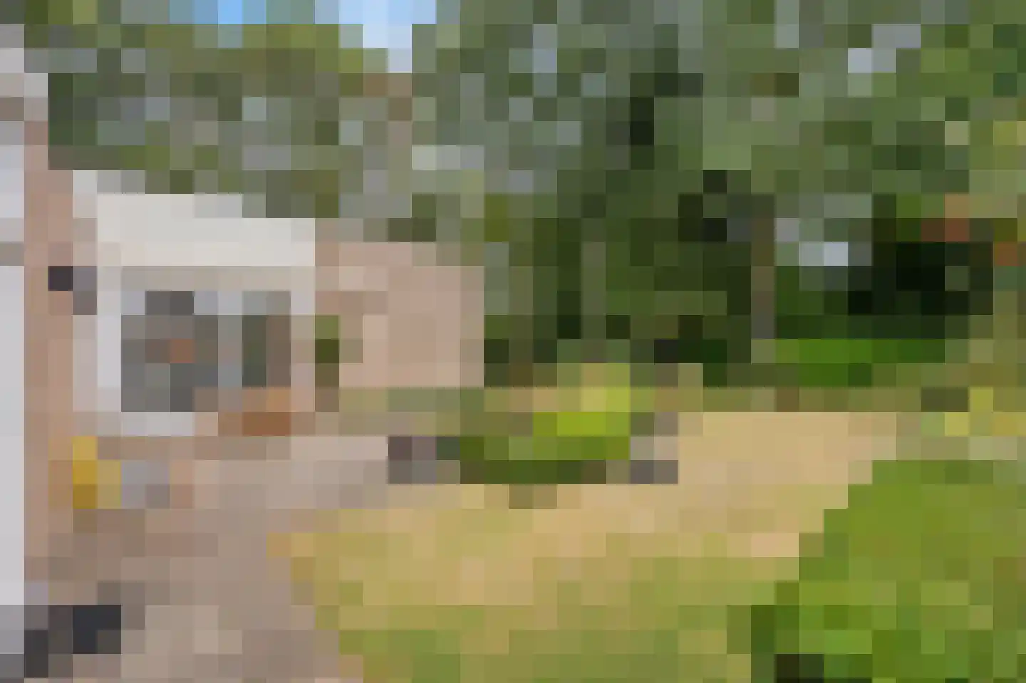 Gerichtsberg 12 Roermond thumbnail 4