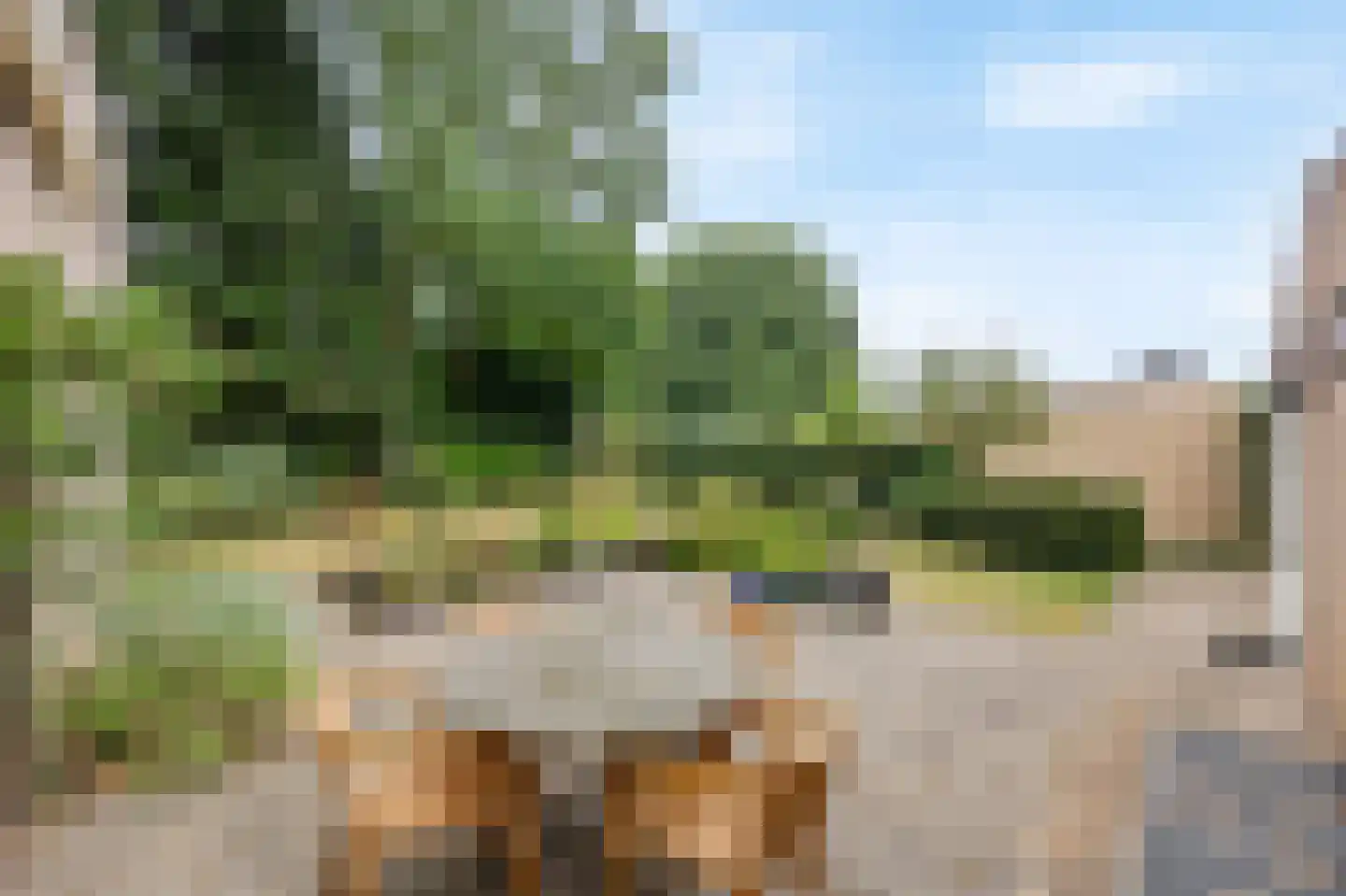 Gerichtsberg 12 Roermond thumbnail 5