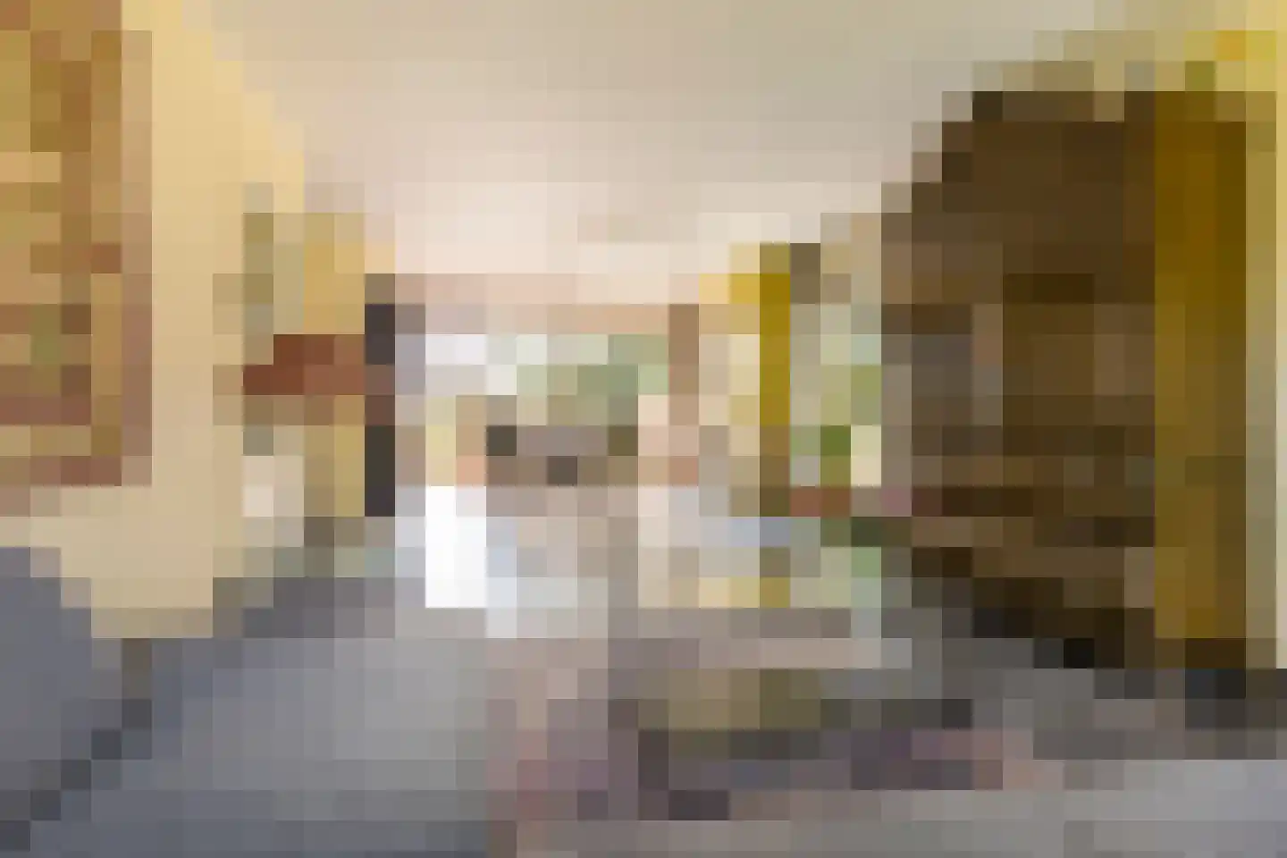 Gerichtstraat 3 Ten Boer thumbnail 13