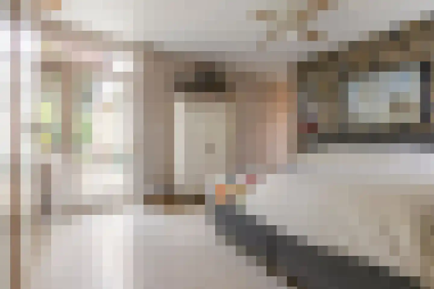 Gerichtstraat 3 Ten Boer thumbnail 20